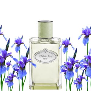 Prada Les Infusions Iris 3