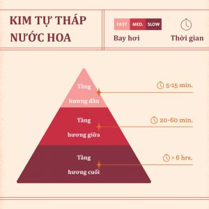 Thaithanh Com Vn Ba Tang Huong Nuoc Hoa