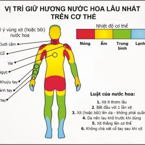 Huong Dan Nam Gioi Vi Tri Xit Nuoc Hoa Tren Co The De Giu Huong Lau Nhat